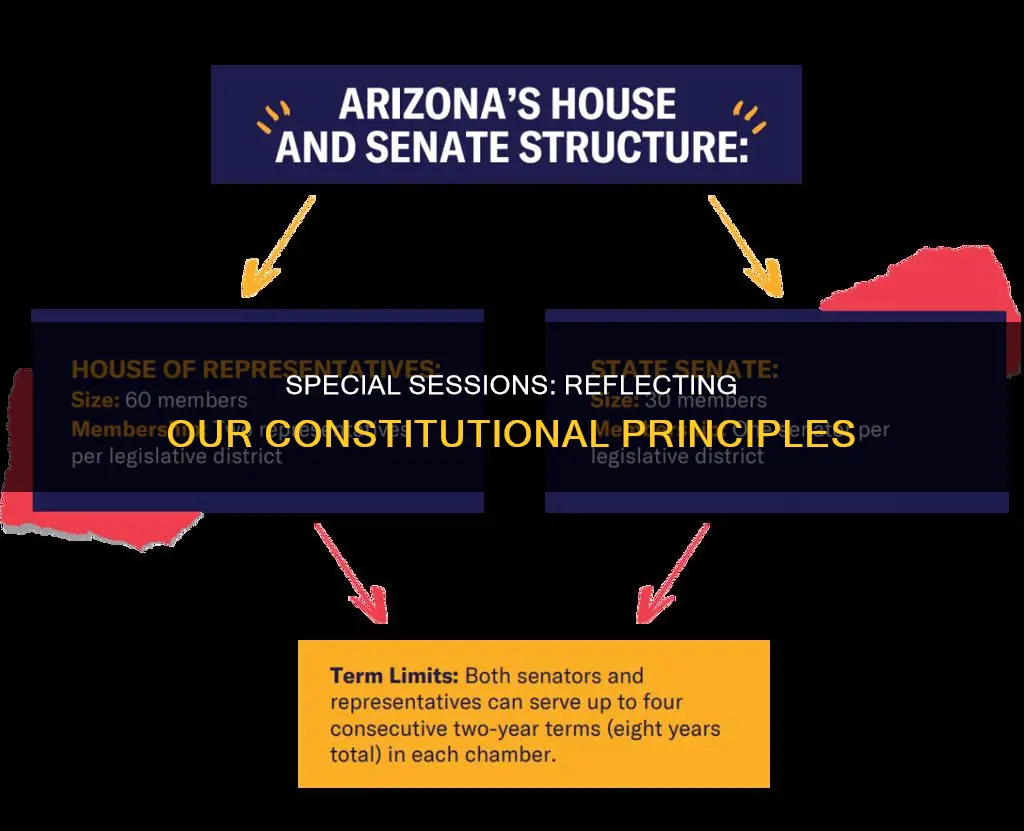 what basic constitutional principle would calling a special session reflect