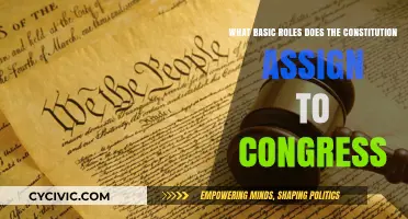 Key Congressional Roles as Per the Constitution