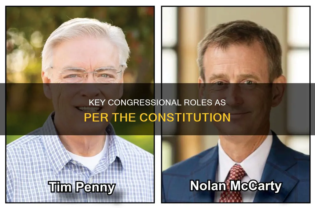 what basic roles does the constitution assign to congress
