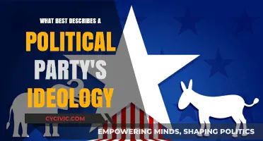 Understanding Political Party Ideologies: Core Beliefs, Values, and Principles Explained