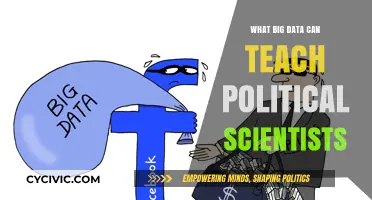 Big Data's Insights: Transforming Political Science Research and Analysis