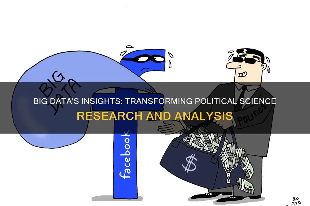 what big data can teach political scientists