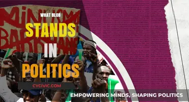 Understanding the Role of Political Blobs in Modern Governance