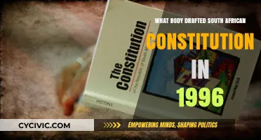 Who Crafted South Africa's Constitution?