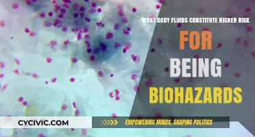 Which Bodily Fluids Are Biohazardous?