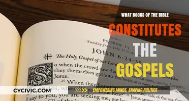 The Gospels: Understanding the Bible's Core Books