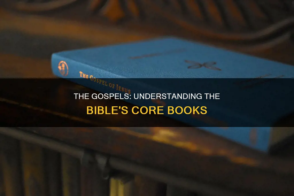what books of the bible constitutes the gospels