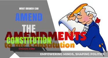 Amending the Constitution: Which Branch Holds the Power?