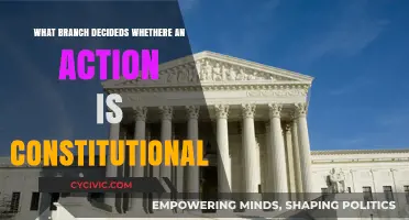 The Judiciary: Upholding Constitutional Integrity