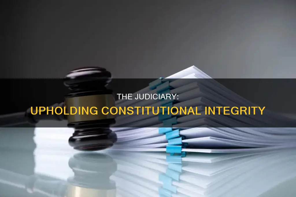 what branch decideds whethere an action is constitutional