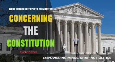 Interpreting the Constitution: Which Branch Has the Power?