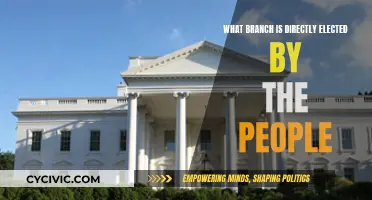 The People's Elected: Understanding Directly Elected Branches