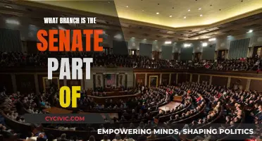The Senate's Place in the Legislative Branch