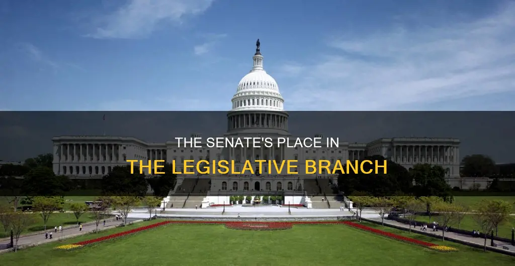 what branch is the senate part of