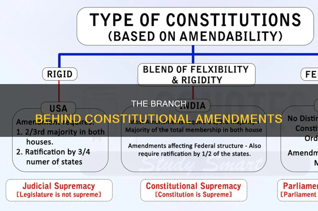 what branch issues a constitutional amendment
