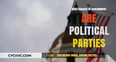 Political Parties' Role: Which Government Branch Do They Influence?