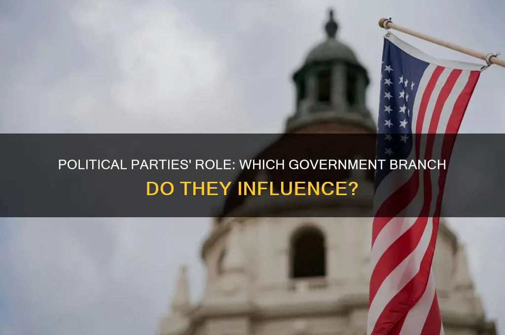what branch of government are political parties