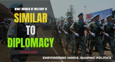 Military Diplomacy: Branches Working Together for Peace