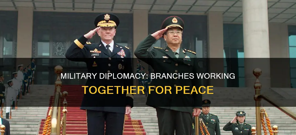 what branch of military is similar to diplomacy