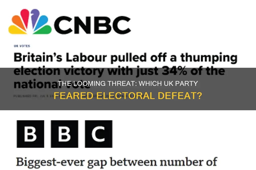 what british political party feared losing