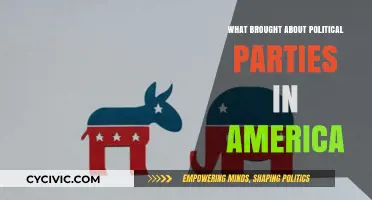 The Evolution of Political Parties in America: Origins and Influences