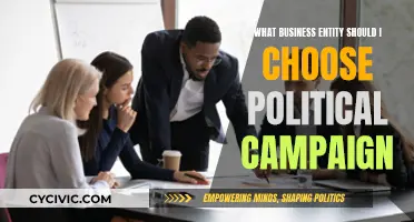 Business Entity Choice: Political Campaigns' Strategic Decisions