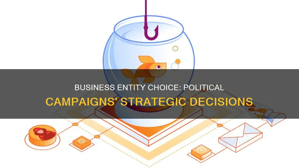 what business entity should i choose political campaign
