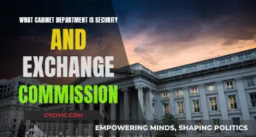 Security and Exchange Commission: A Department of the Treasury