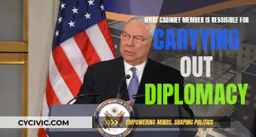 Diplomacy and Cabinet: Who's Responsible?