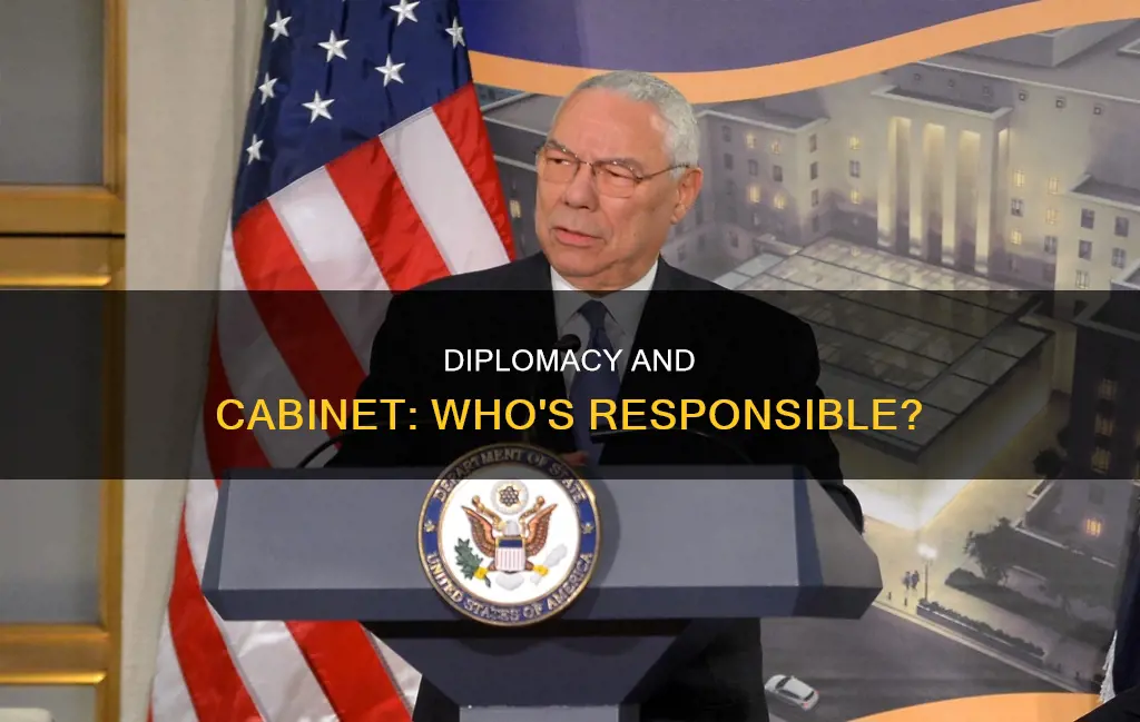 what cabiniet member is resoisible for caryying out diplomacy