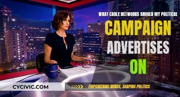 Political Campaign Advertising: Choosing the Right Cable Networks