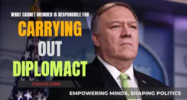 Diplomacy's Face: Cabinet's Key Role in Foreign Affairs