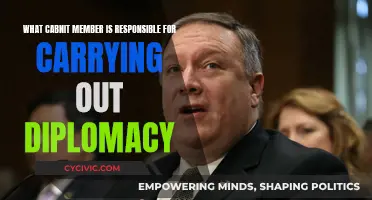 Who is the Face of Diplomacy in the Cabinet?