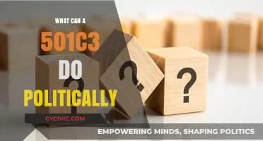 Political Activities for 501(c)(3) Nonprofits: Navigating Legal Boundaries