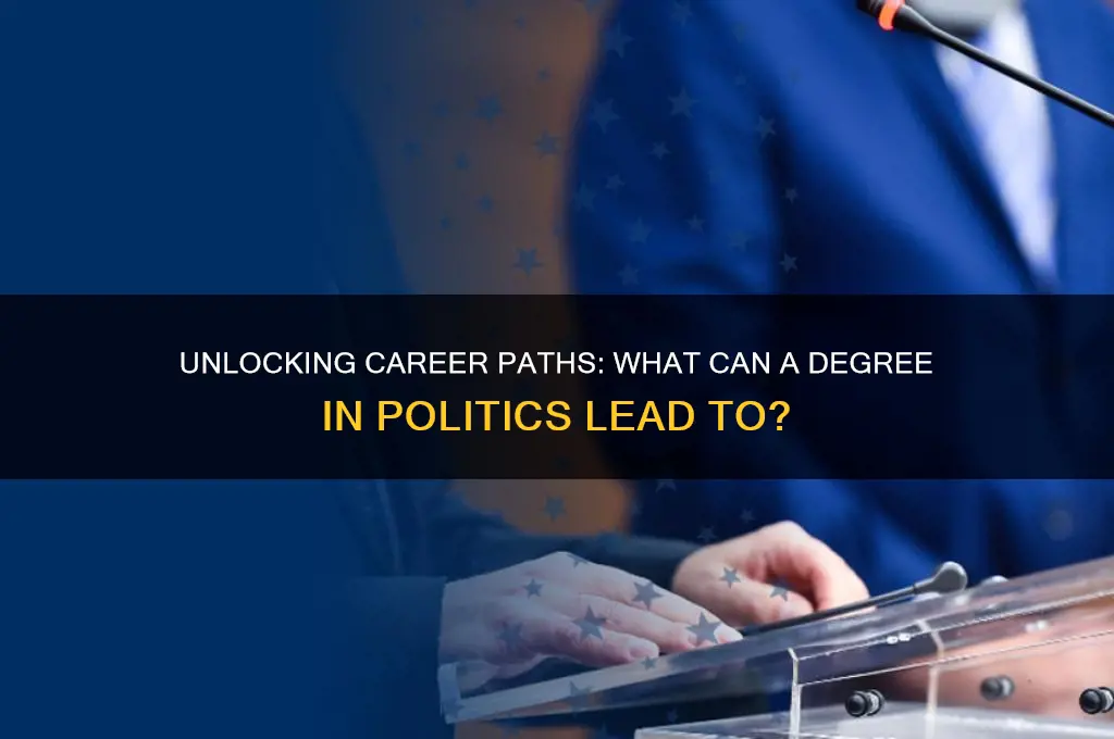 what can a degree in politics lead to
