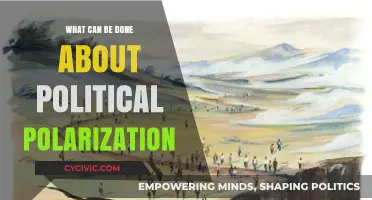 Bridging the Divide: Strategies to Combat Political Polarization