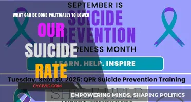 Political Strategies to Combat Suicide: Saving Lives Through Policy Action