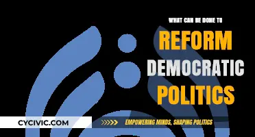Revitalizing Democracy: Strategies for Political Reform and Civic Engagement
