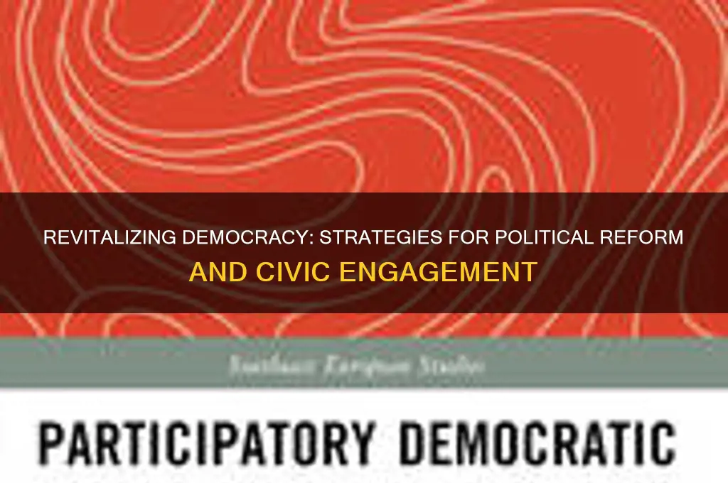 what can be done to reform democratic politics