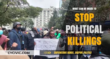 Ending Political Killings: Strategies for Peace, Justice, and Accountability
