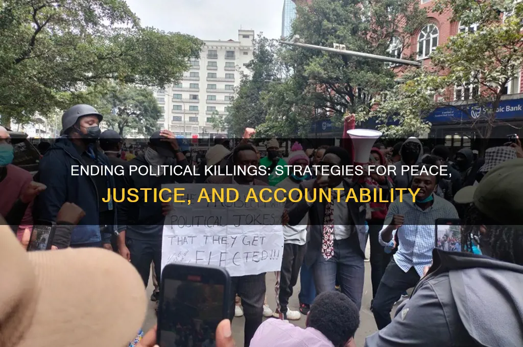 what can be made to stop political killings