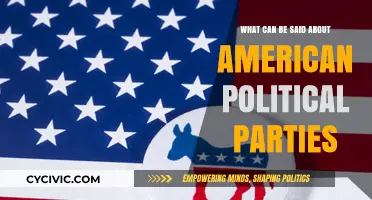 Understanding the Dynamics and Divides of American Political Parties
