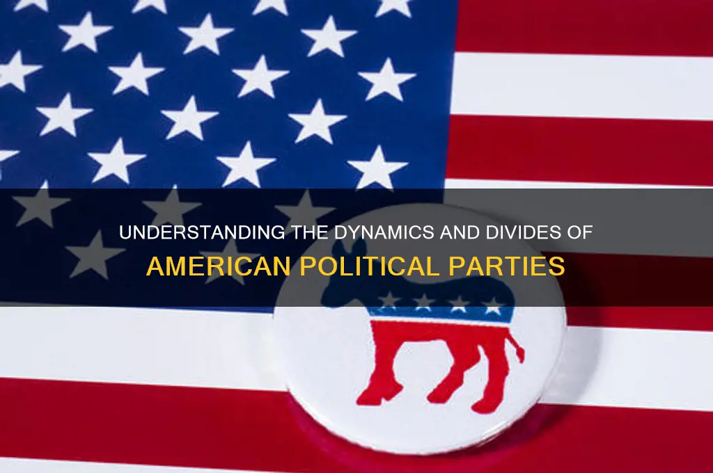 what can be said about american political parties