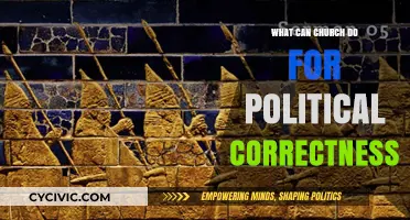 Church's Role in Navigating Political Correctness: Balancing Faith and Culture
