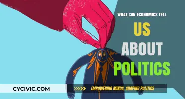 Economic Insights: Decoding Political Strategies and Power Dynamics