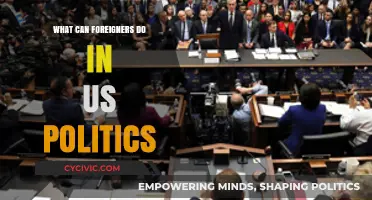 Foreign Influence in US Politics: Opportunities, Limitations, and Engagement