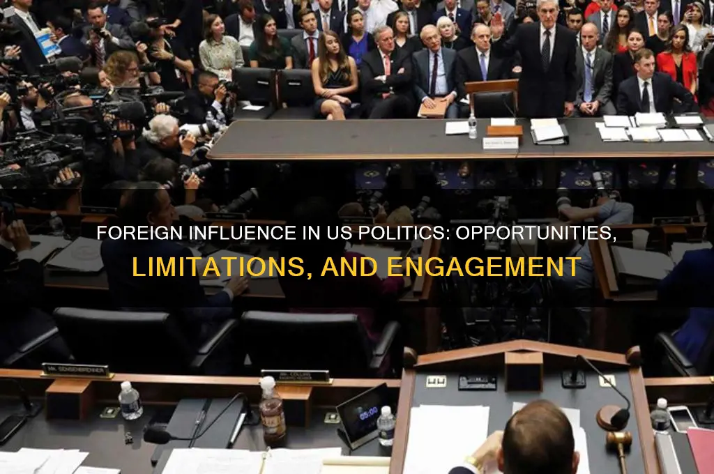 what can foreigners do in us politics