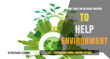 Green Local Impact: Steps to Boost Environmental Action in Politics