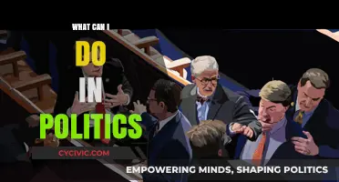 Exploring Political Engagement: Diverse Paths to Make a Difference