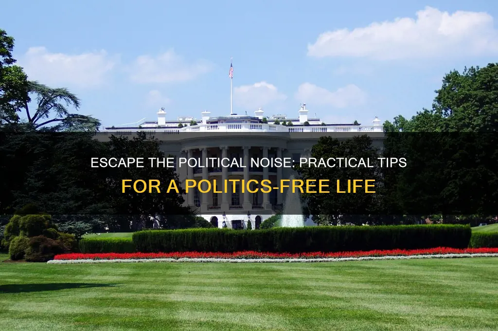 what can i do to block out all the politics